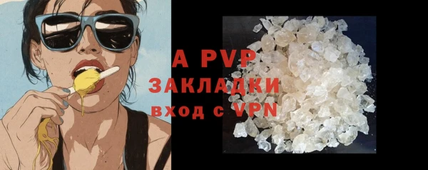 крисы Алзамай