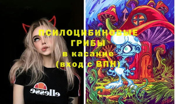 крисы Алзамай
