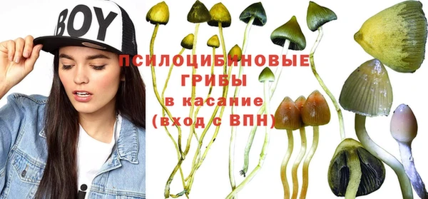 крисы Алзамай