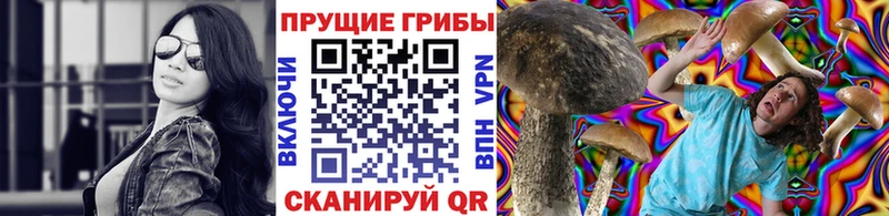 Псилоцибиновые грибы мицелий Томск