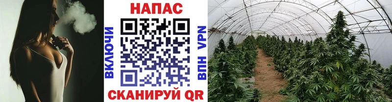 МЕГА ссылки  Томск  Канабис планчик  закладки 