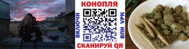 Бошки Шишки ГИДРОПОН Томск